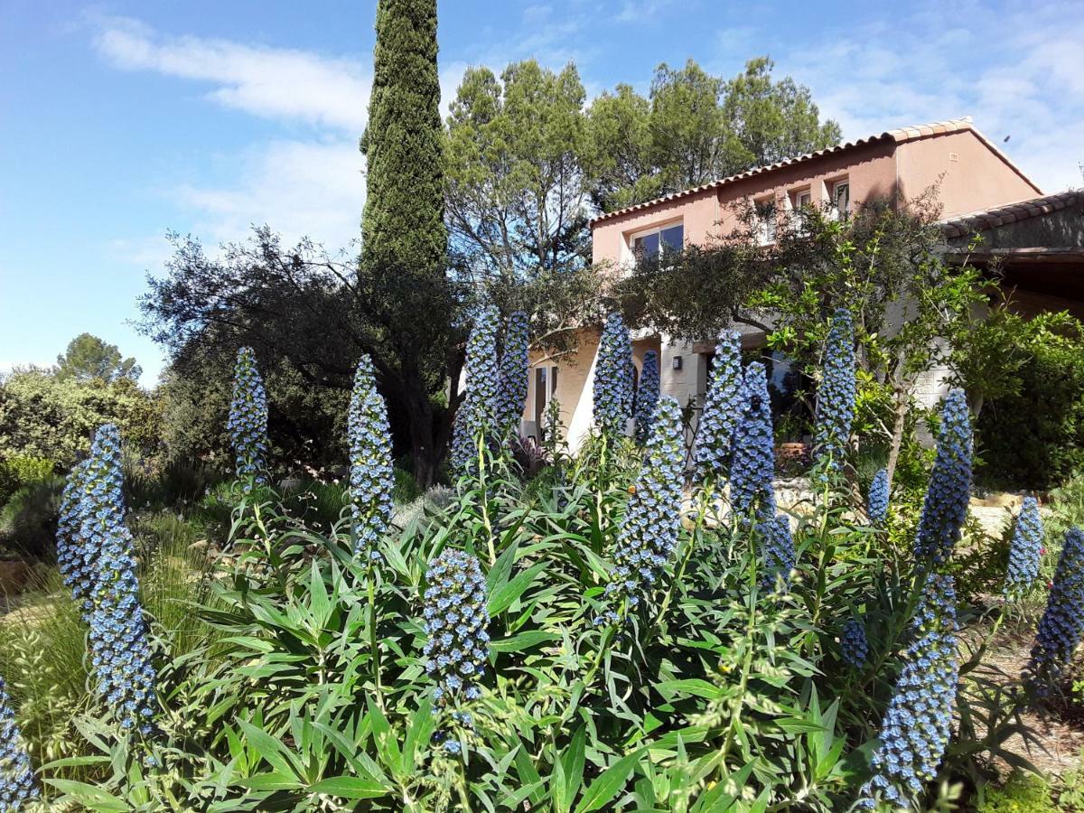 Bed and Breakfast L'Atelier Saint-Maximin  Экстерьер фото